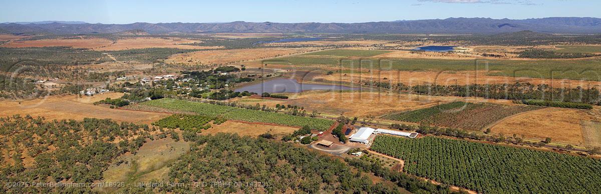 Peter Bellingham Photography Lakeland Farm - QLD (PBH4 00 14323)